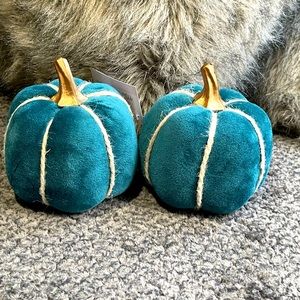 2 small teal pumpkins.